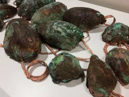 Rotting Squash with Jewelry